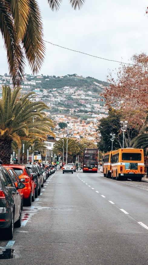 Place Avenida Do Mar