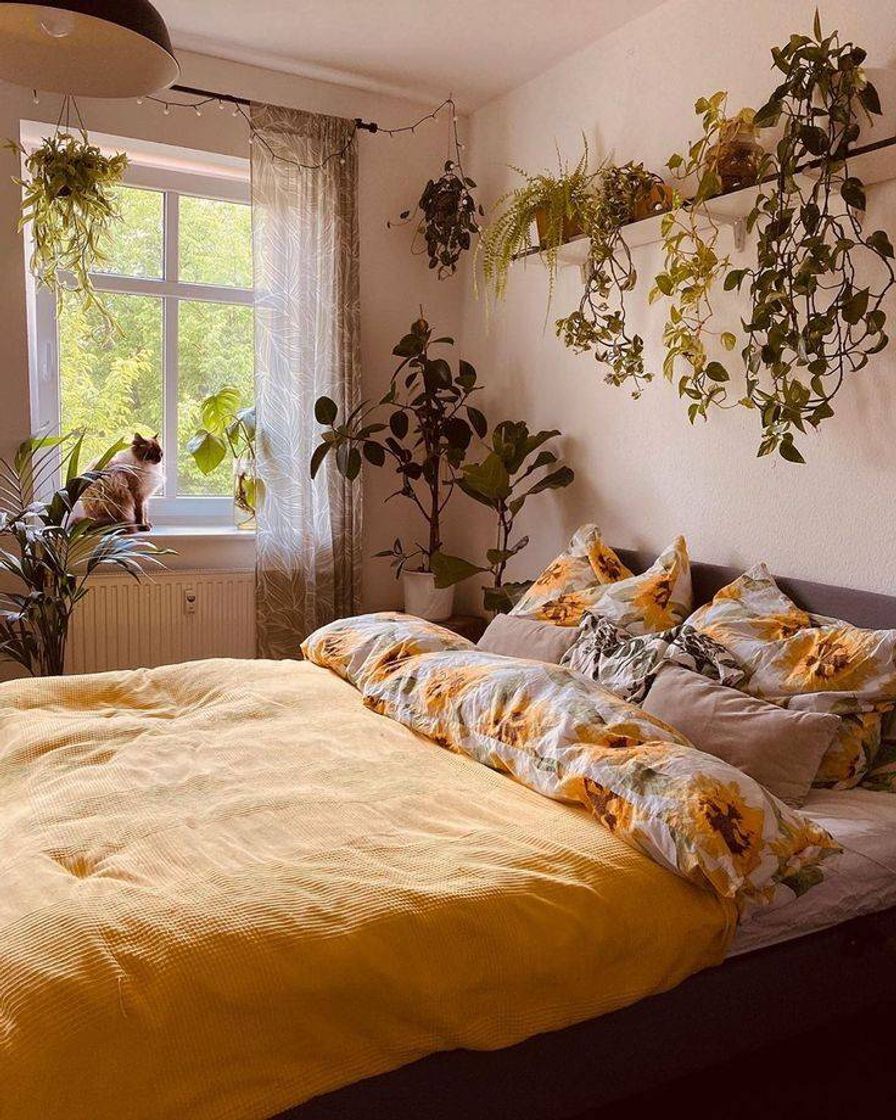 Social Room inspo 
