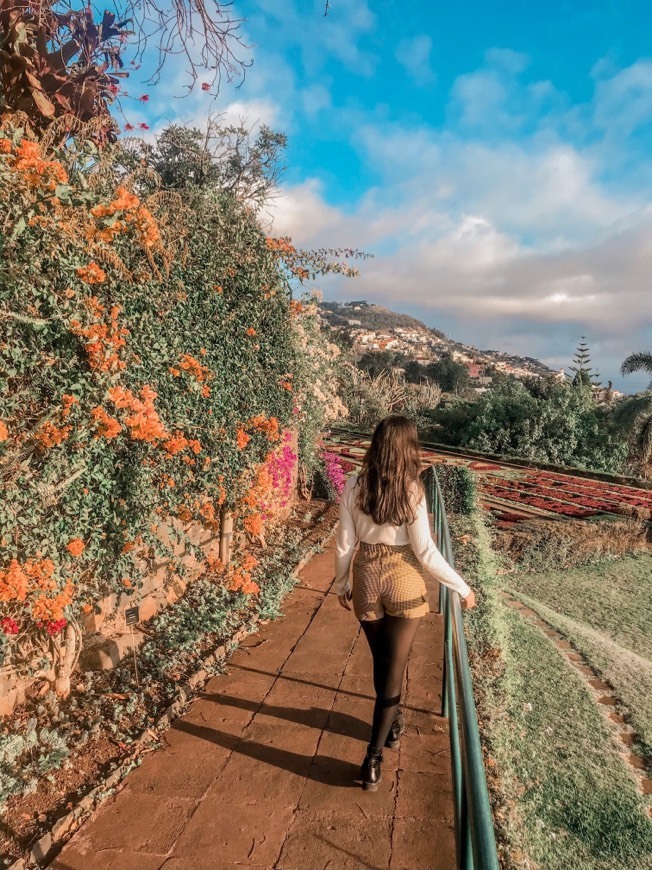 Lugar Jardín Botánico de Madeira