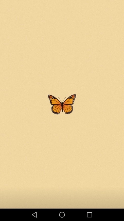 Wallpaper 