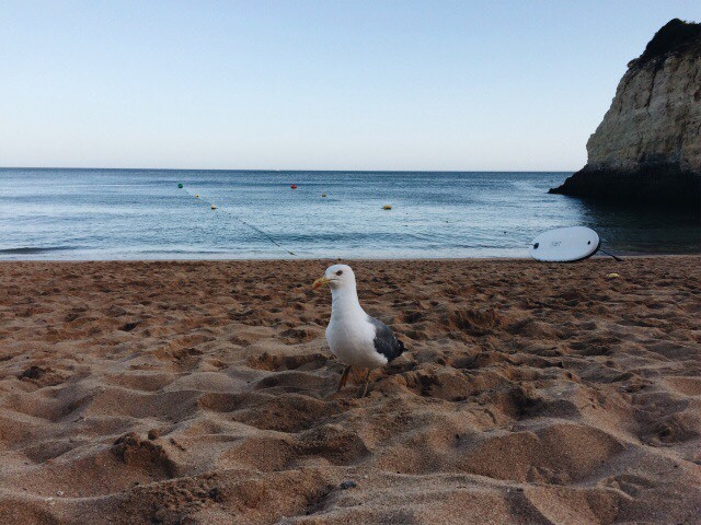 Place Praia dos Beijinhos