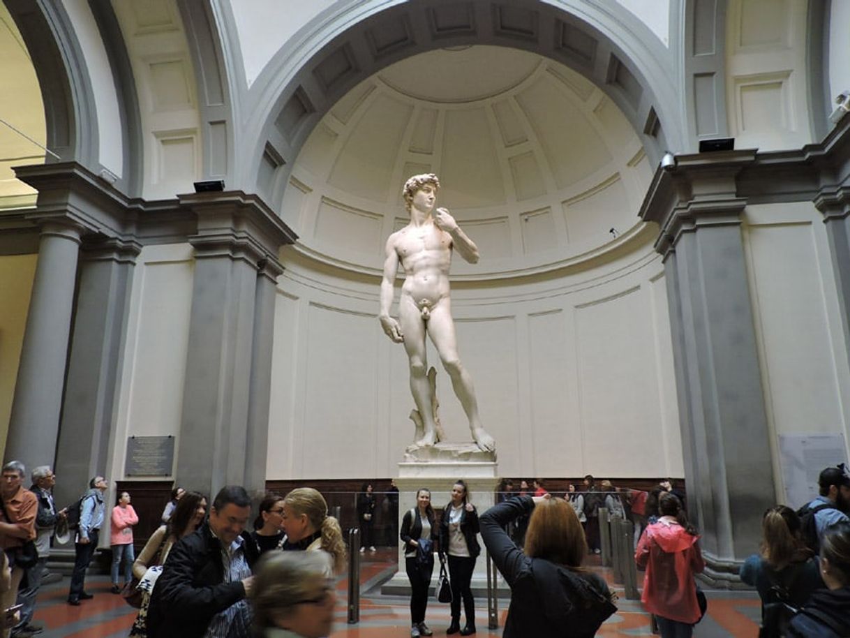 Place Galleria dell'Accademia