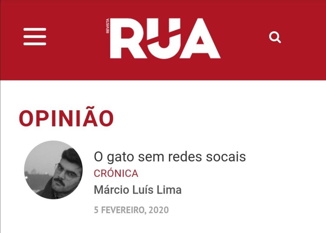 Moda "O gato sem redes sociais" (crónica) 