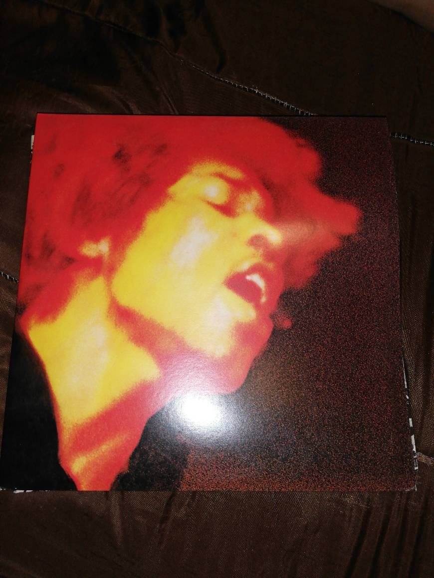 Libro Electric Ladyland 