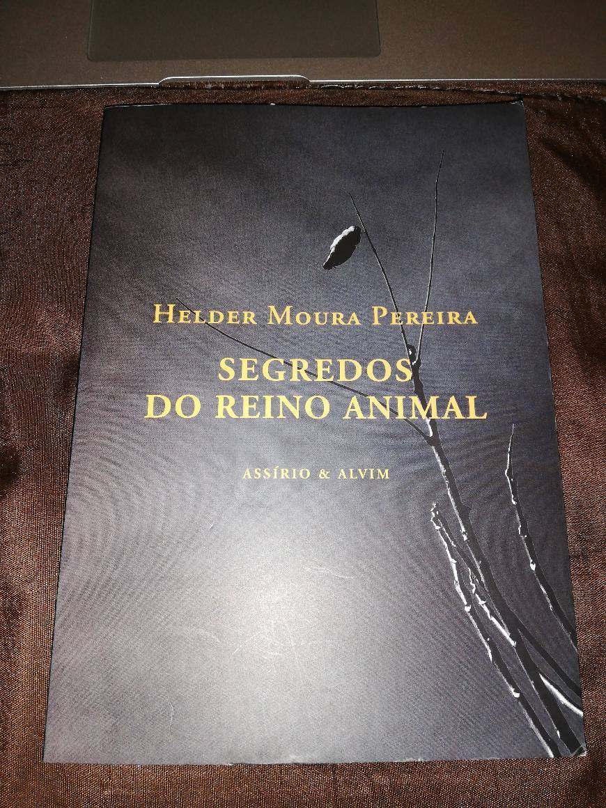 Libro Segredos do Reino Animal 