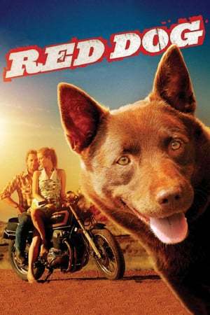 Movie Red Dog, una historia de lealtad