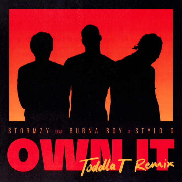 Canción Own It (feat. Burna Boy & Stylo G) [Toddla T Remix]