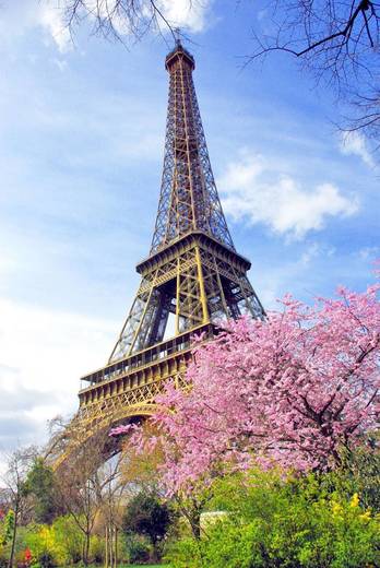 Paris - France