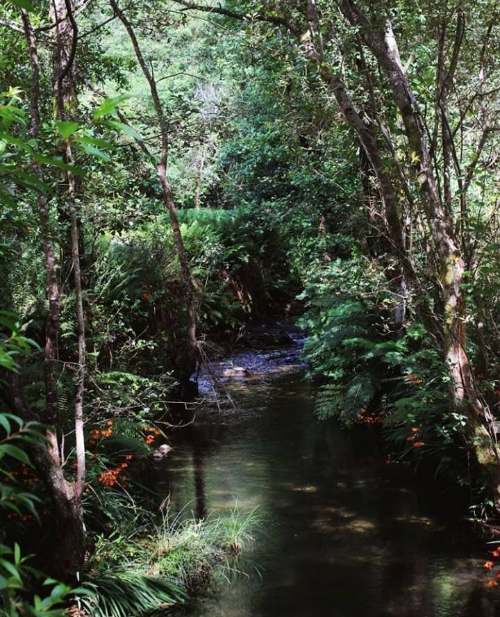 Lugar Moleiro da Costa Má