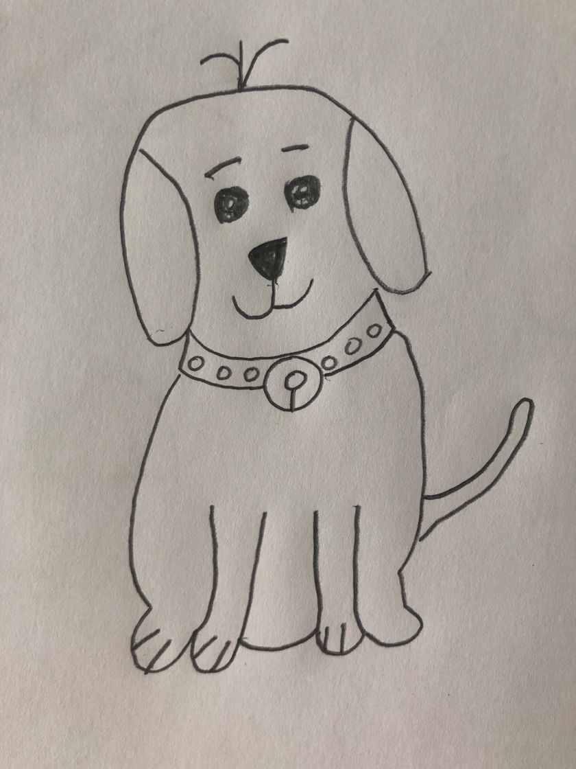 Social Dibujo de perrito 
