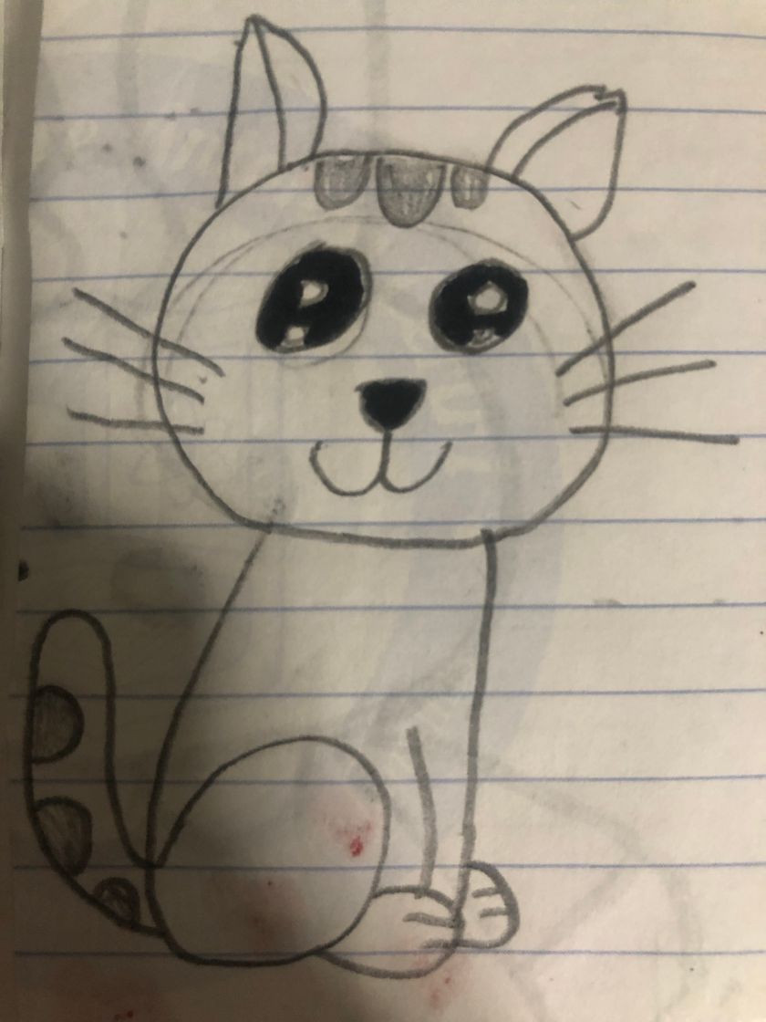 Social Dibujo de gato