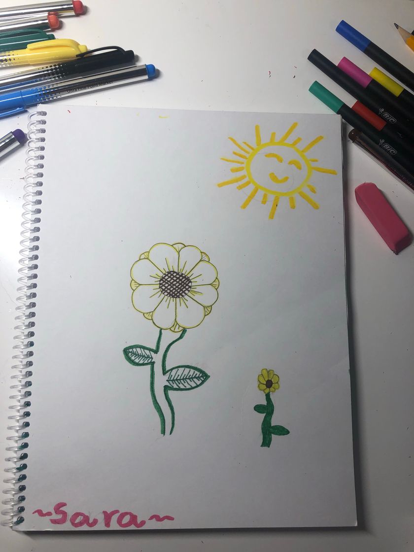 Social Dibujo de 2 flores girasoles 🌻 
