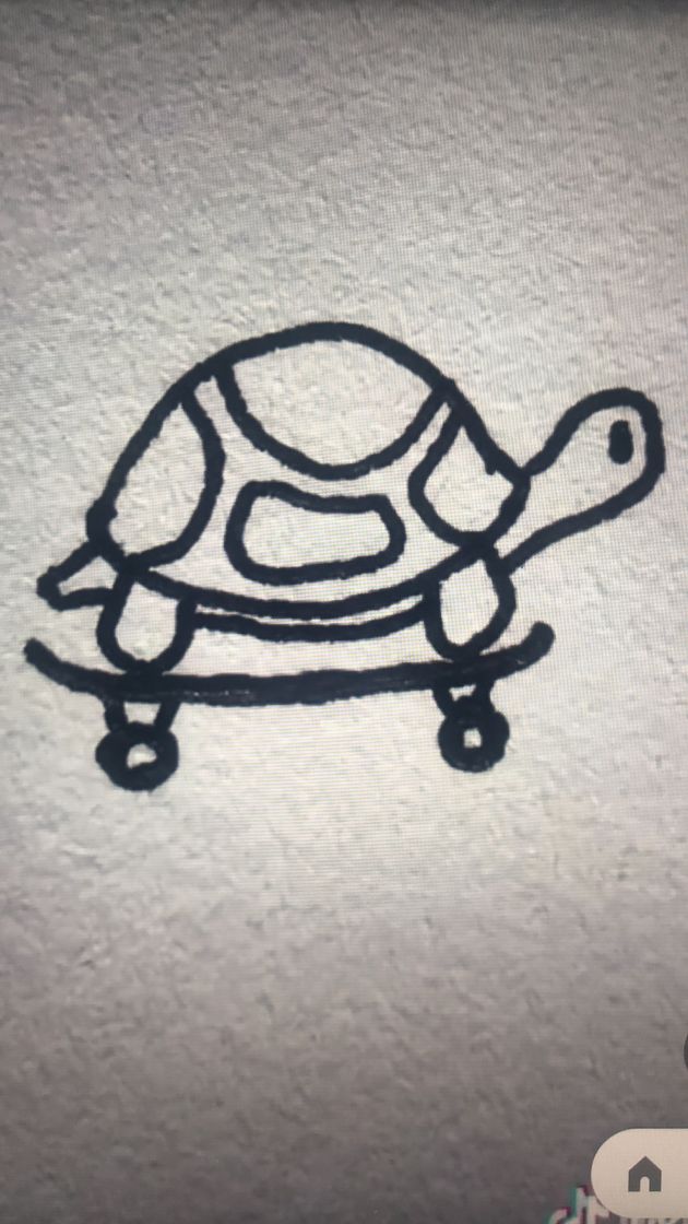 Social Dibujo de tortuga 