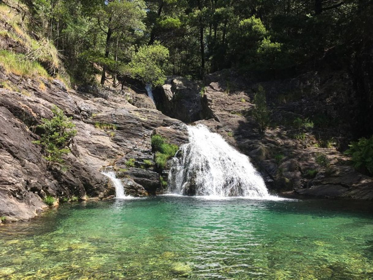 Lugar Cascata do Pincho