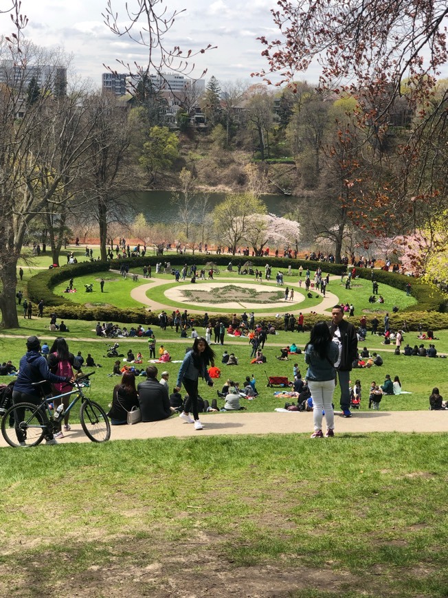 Place High Park Zoo