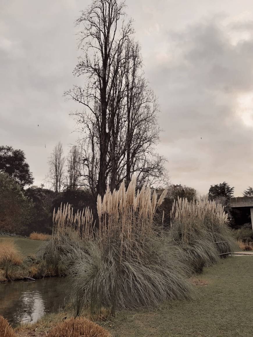 Lugar Parque Gulbenkian