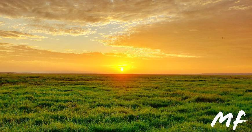 Fashion Sunrise in Amboseli National Park