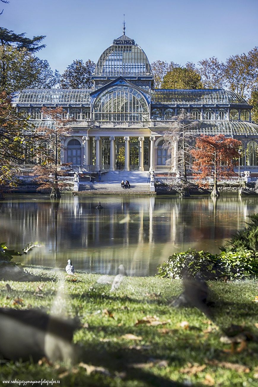 Lugar Palacio de Cristal