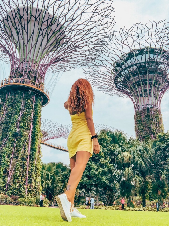 Place Gardens by the Bay