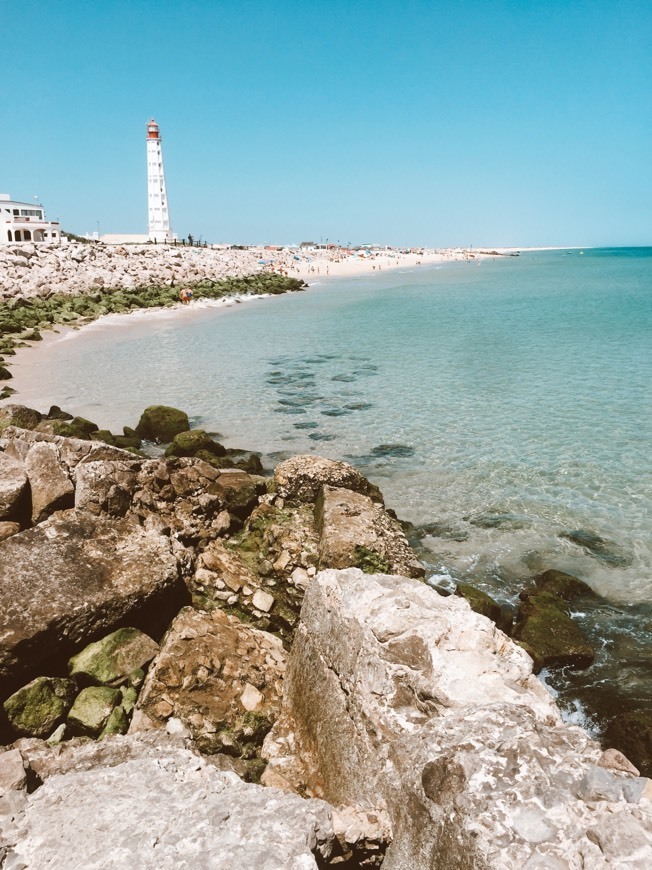 Lugar Ilha do Farol