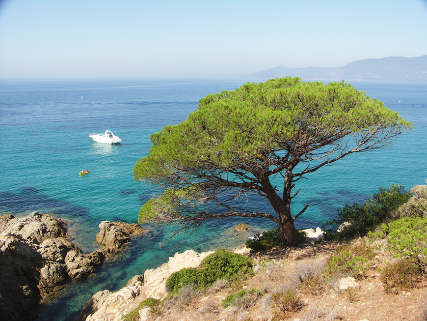 Places Sainte-Maxime