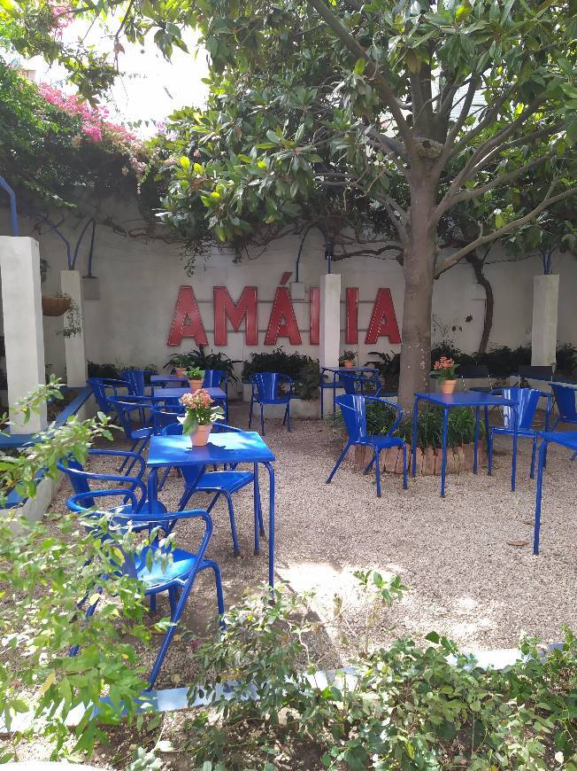 Lugar Foundation Amália Rodrigues