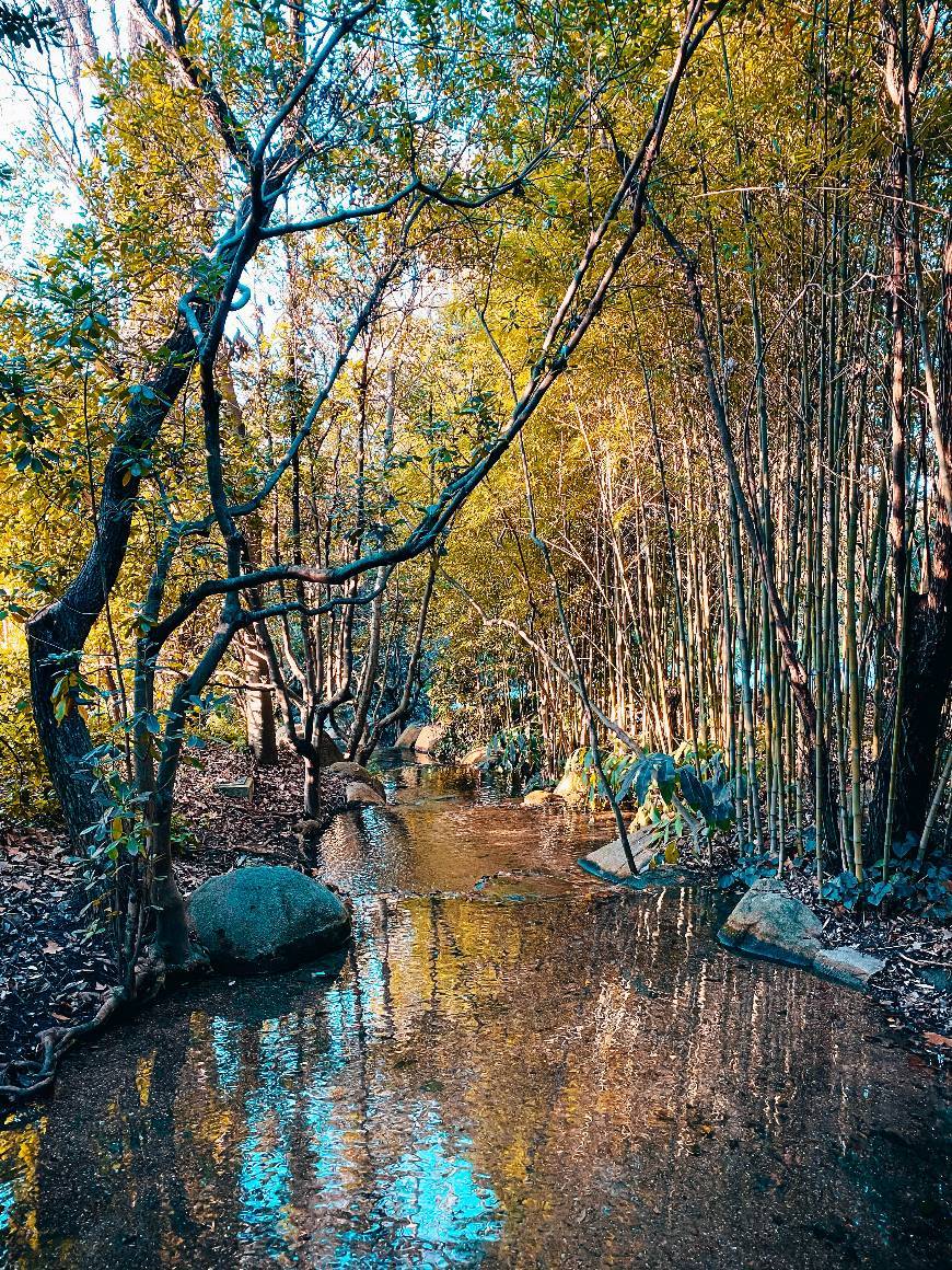 Lugar Parque Gulbenkian