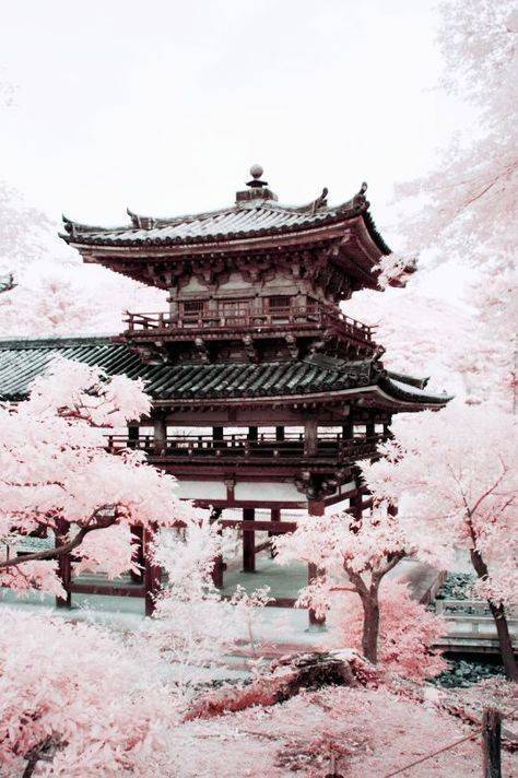 Japan / Japão 