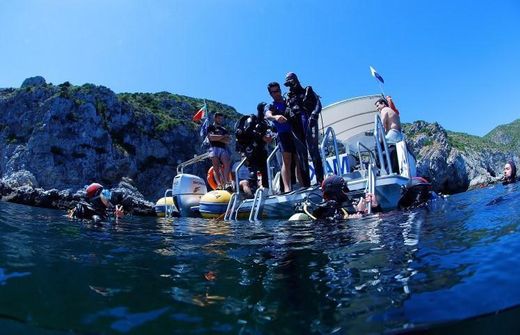 Easydivers Dive Centre - Escola de Mergulho