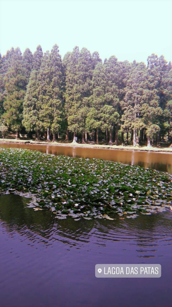 Lugar Lagoa das Patas