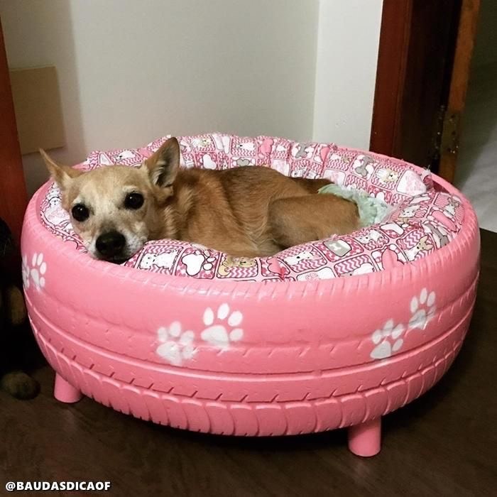 Producto Cama original para cão 🐶 