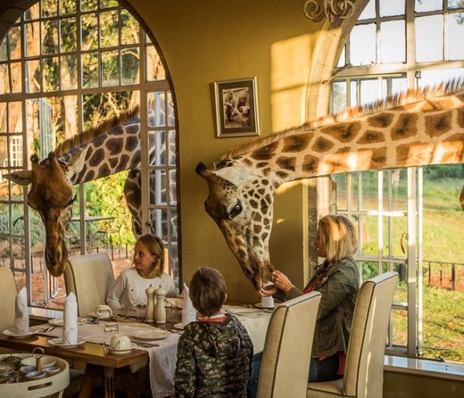 Giraffe Manor