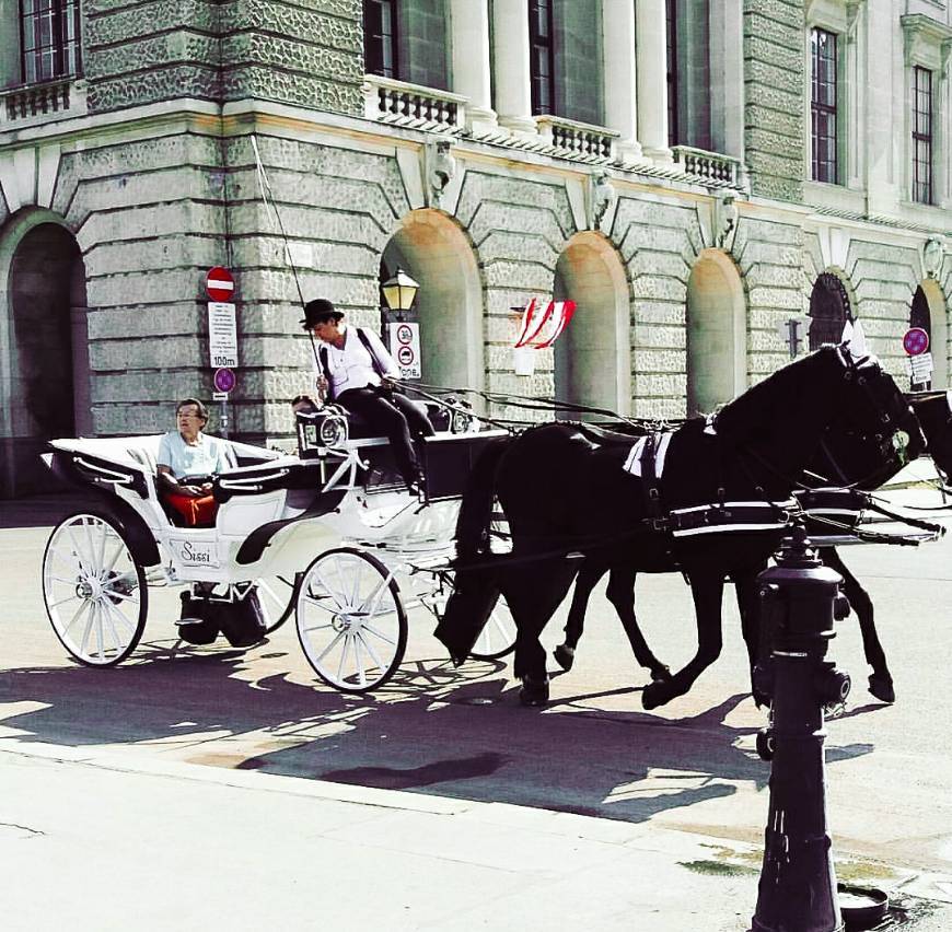Place Vienna