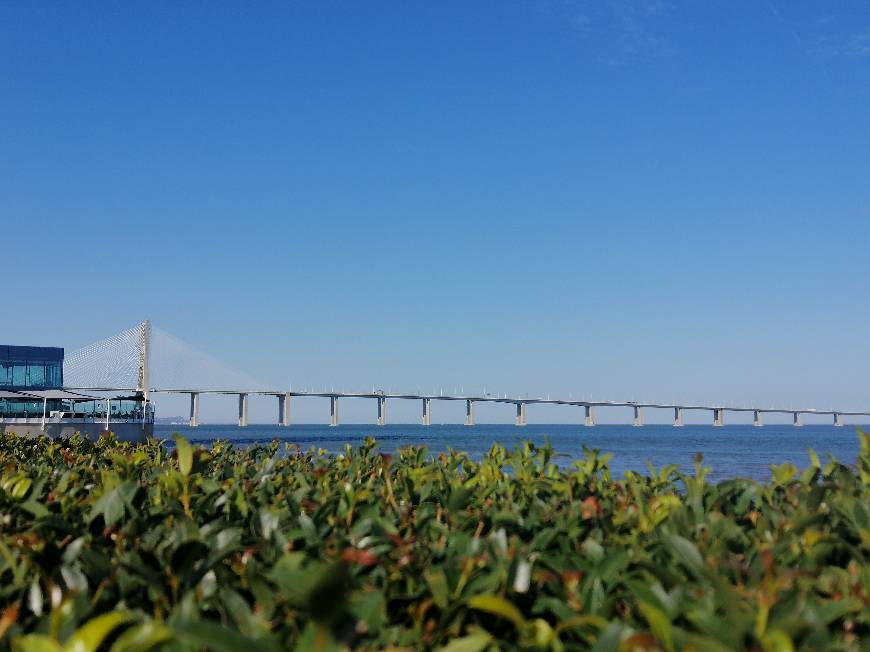 Lugar Puente Vasco da Gama