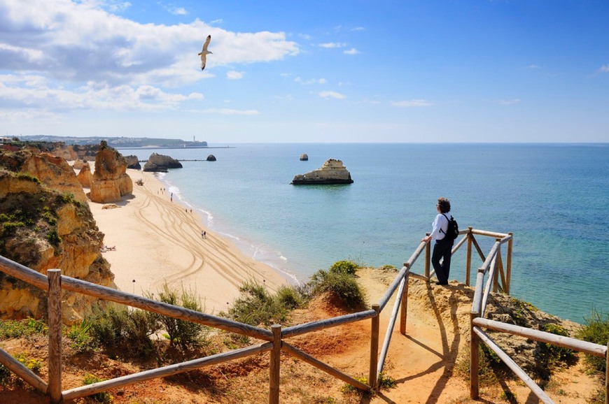 Place Praia da Rocha Beach View