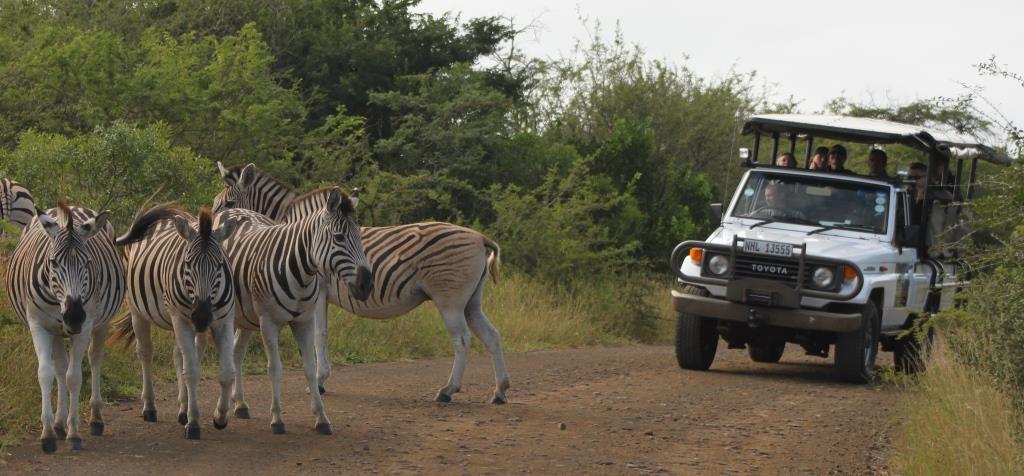 Places Hluhluwe-Umfolozi Game Reserve