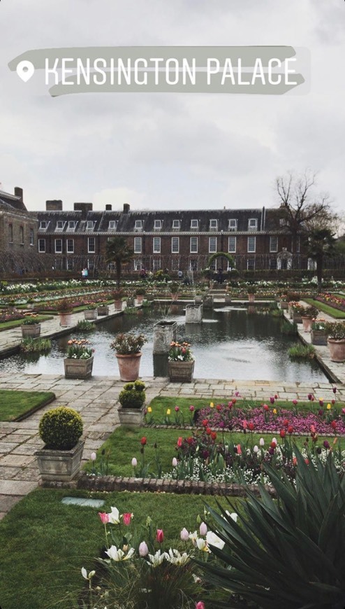 Lugar Kensington Palace