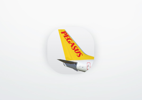Book Flight Tickets by Pegasus