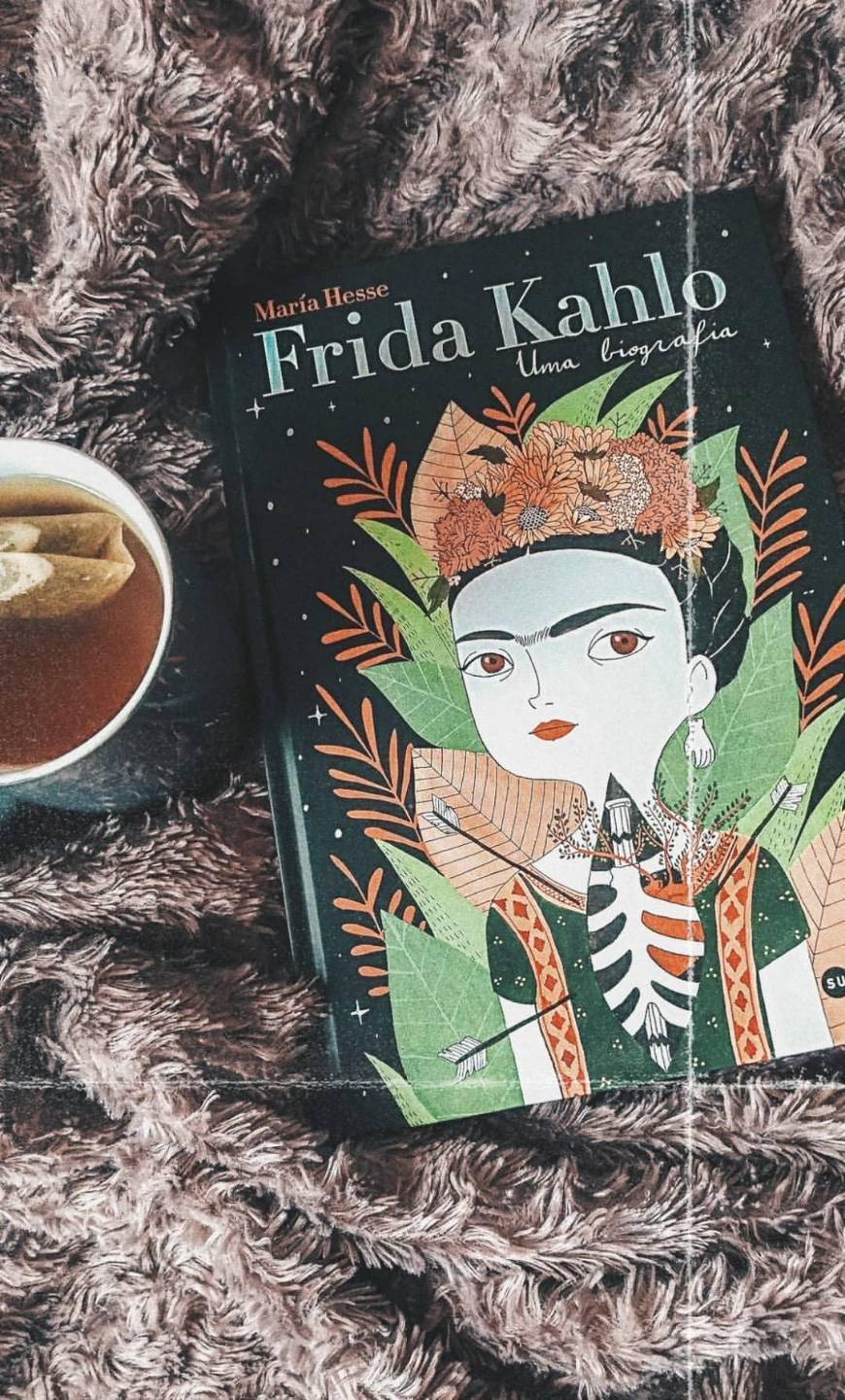 Books Frida Kahlo 