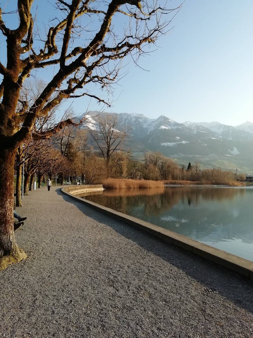 Place Sarnen