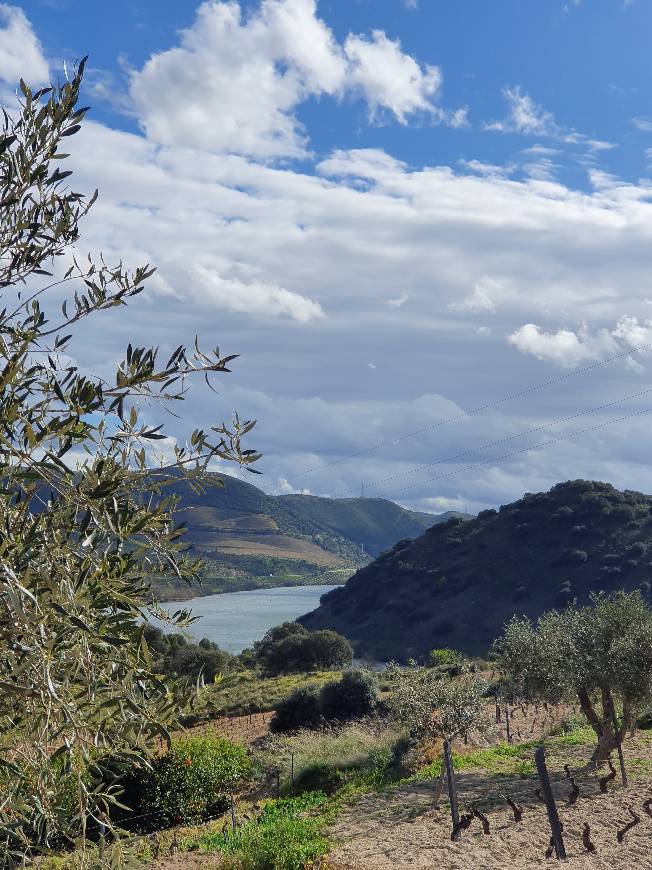 Lugar Torre de Moncorvo