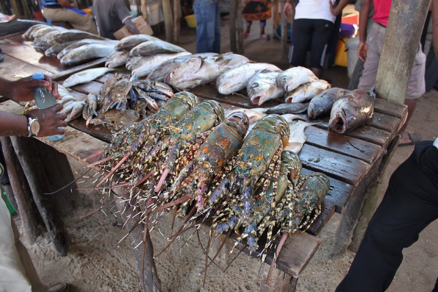 Lugar Mercado de Peixe