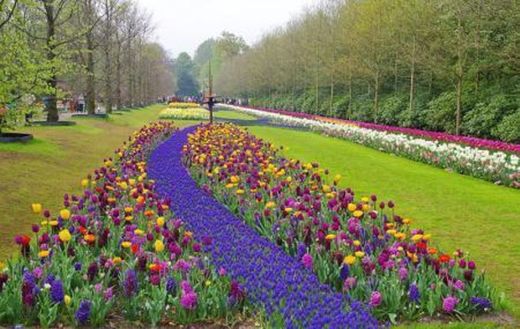 Keukenhof