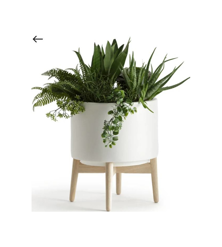 Social Vaso com suporte