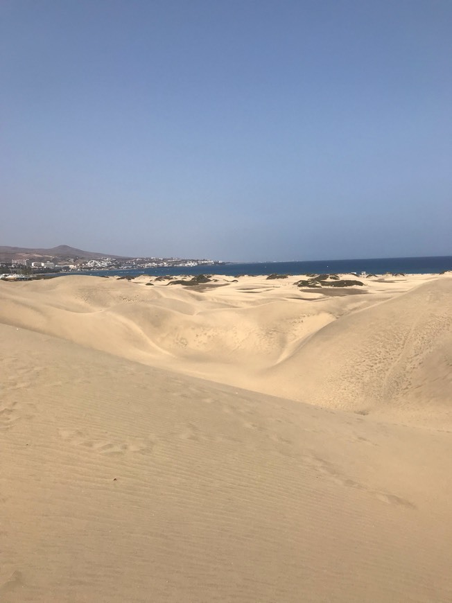 Place Dunas De Maspalomas