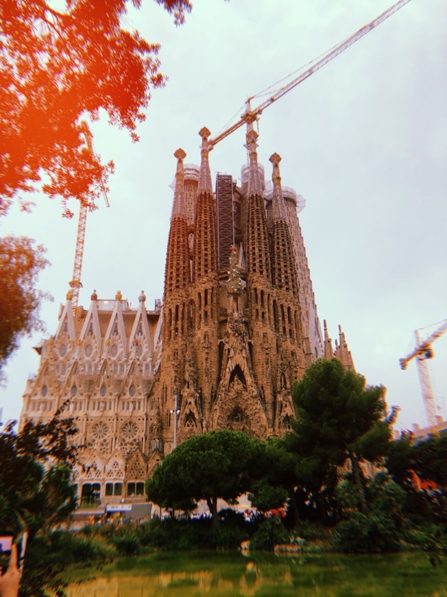 Lugar Catedral de Barcelona