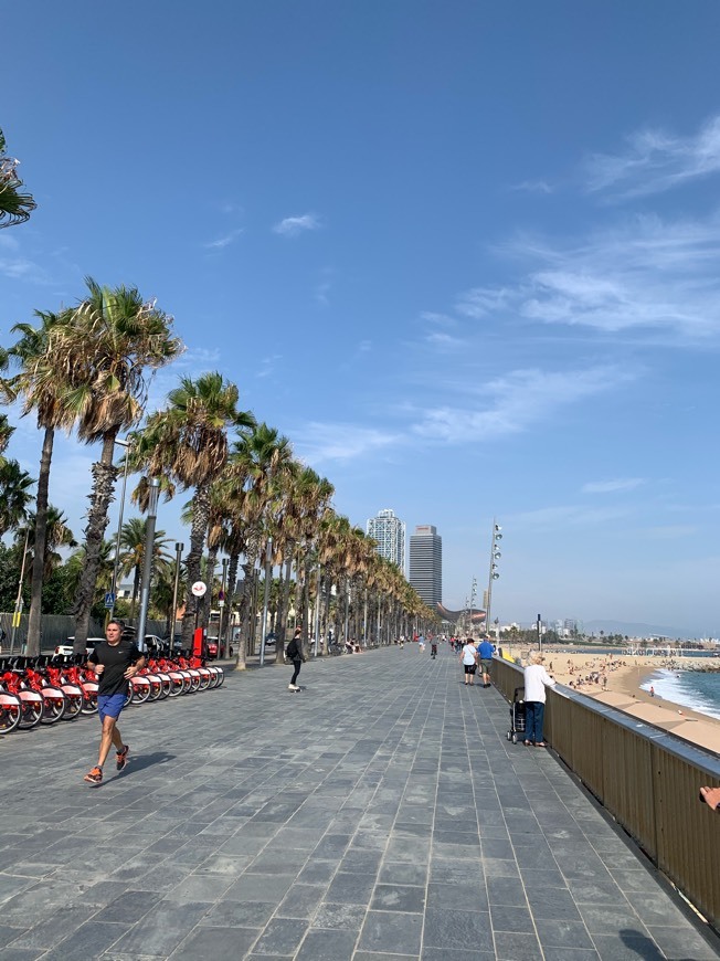 Place Playa de la Barceloneta