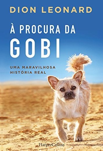 À procura da gobi