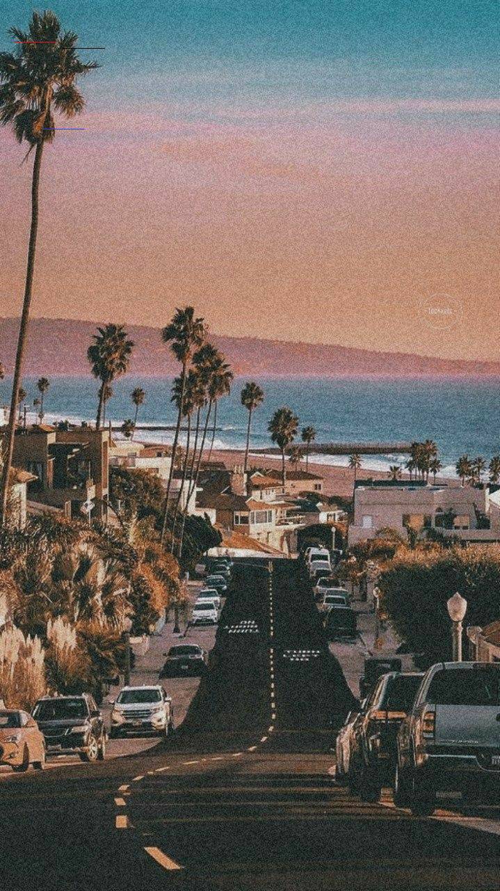 Social 🌴