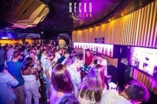 Gecko Disco 🦎 Vale do Lobo - Algarve